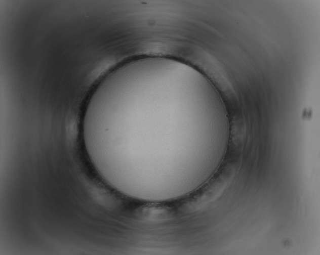 X0000103950208200809261755