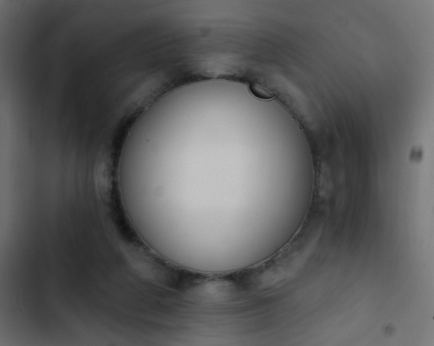 X0000103950210200809261755