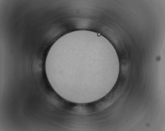 X0000103950211200809261755