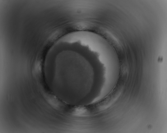 X0000103950214200809261755