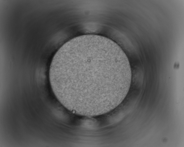 X0000103950215200809261755