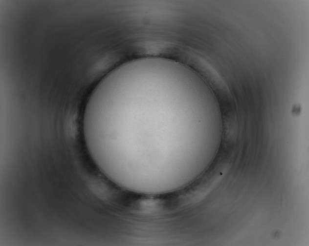 X0000103950216200809261755