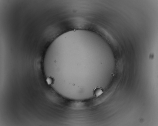 X0000103950217200809261755