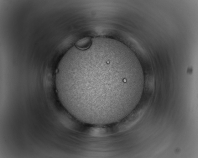 X0000103950220200809261755