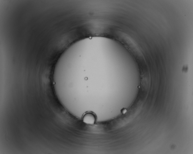 X0000103950221200809261755