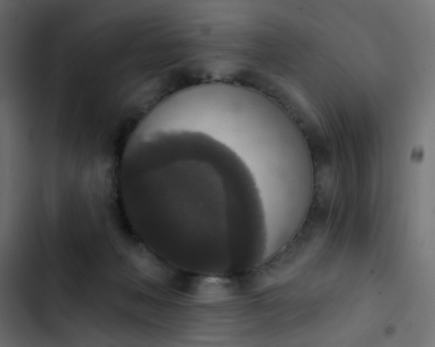 X0000103950222200809261755