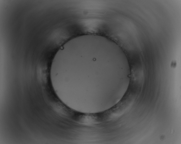 X0000103950223200809261755