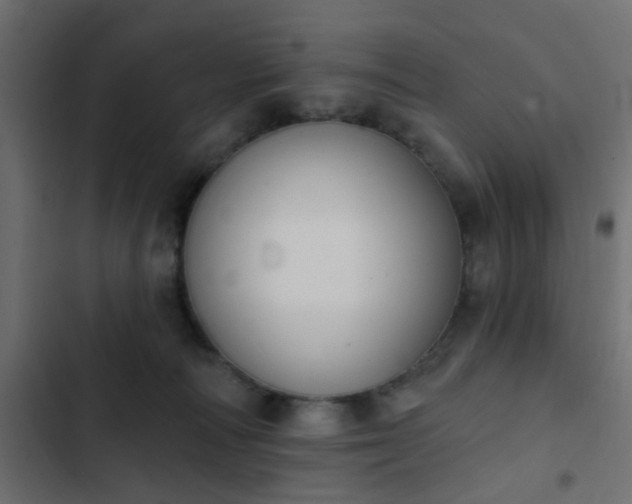 X0000103950226200809261755