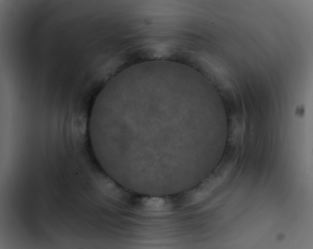 X0000103950230200809261755