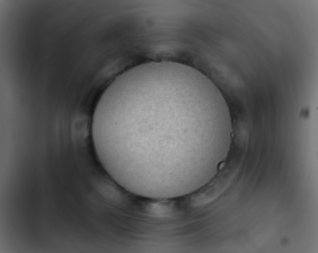 X0000103950232200809261755