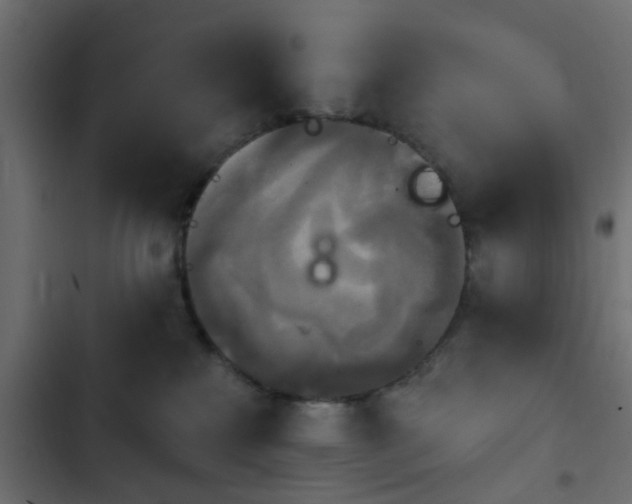 X0000103950233200809261755