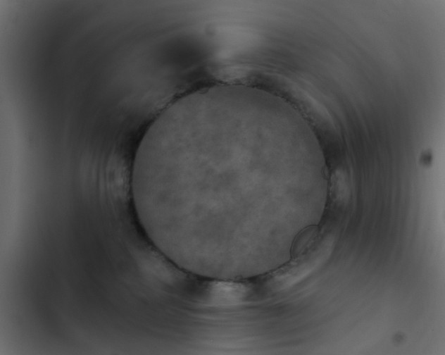 X0000103950234200809261755