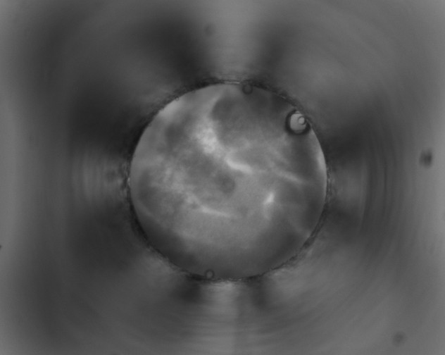 X0000103950237200809261755