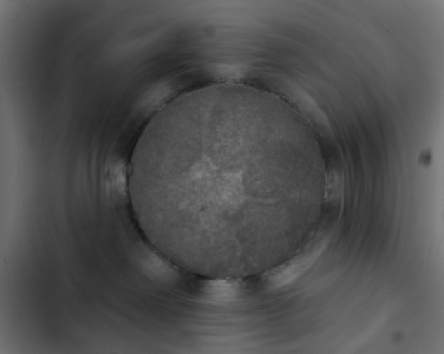 X0000103950238200809261755