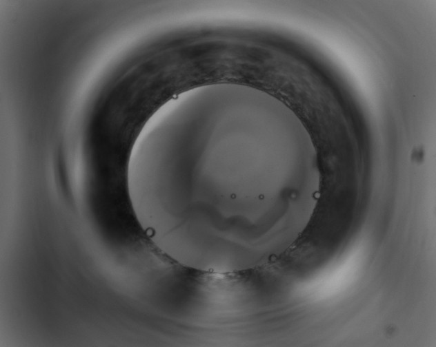 X0000103950239200809261755