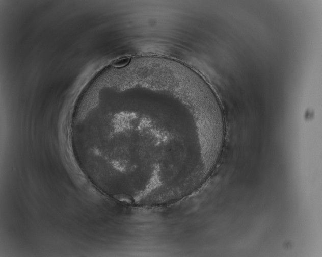 X0000103950241200809261754