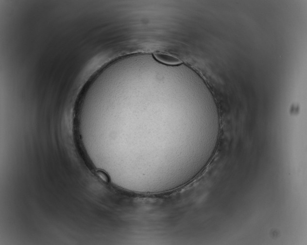 X0000103950242200809261754