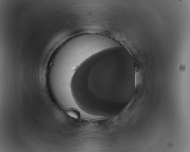 X0000103950243200809261754