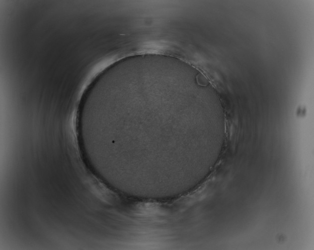 X0000103950244200809261754