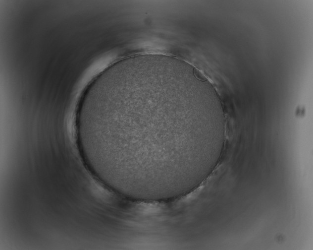 X0000103950245200809261754