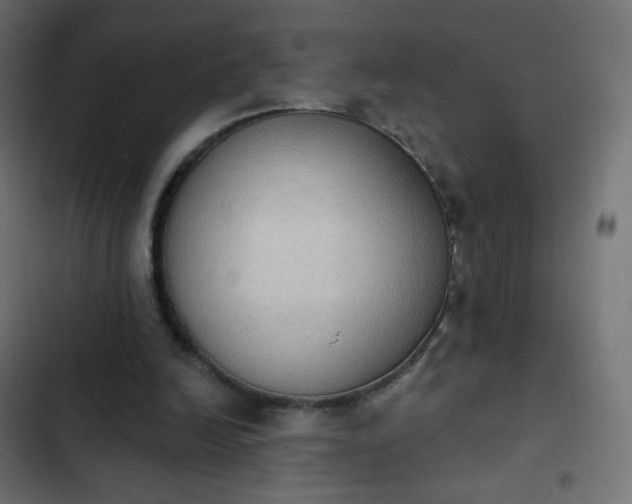 X0000103950246200809261754