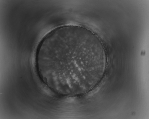 X0000103950247200809261754