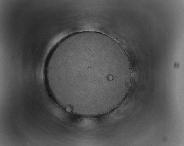 X0000103950248200809261754