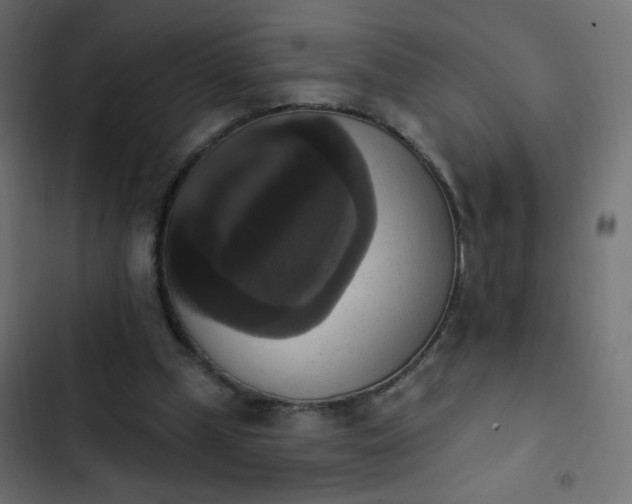 X0000103950249200809261754