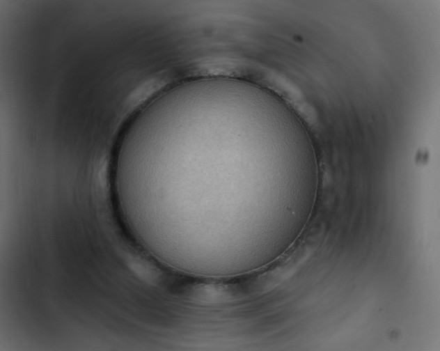 X0000103950250200809261754