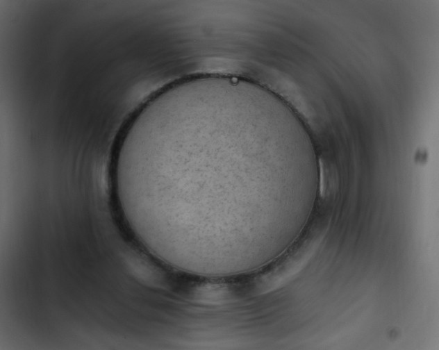 X0000103950252200809261754