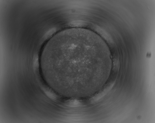 X0000103950254200809261754