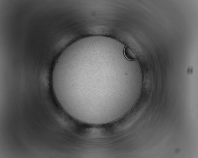 X0000103950255200809261754