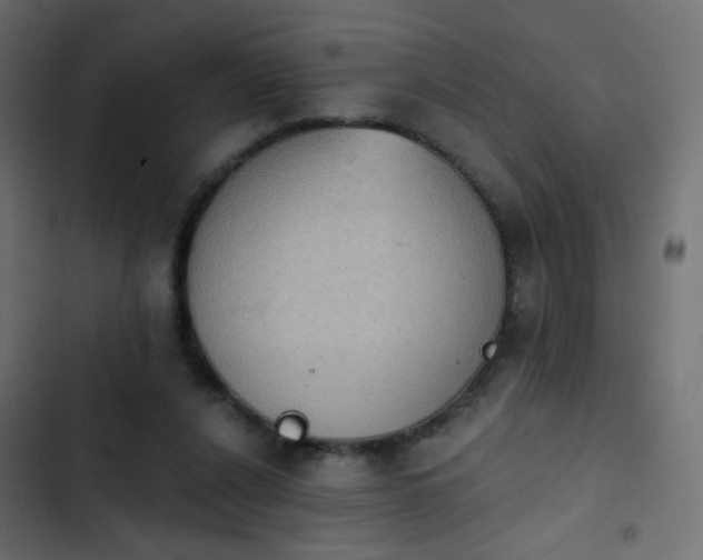 X0000103950256200809261754