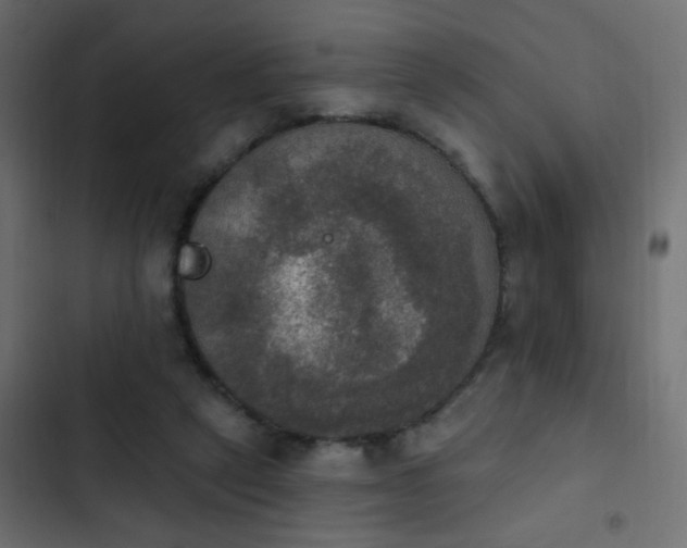 X0000103950257200809261754