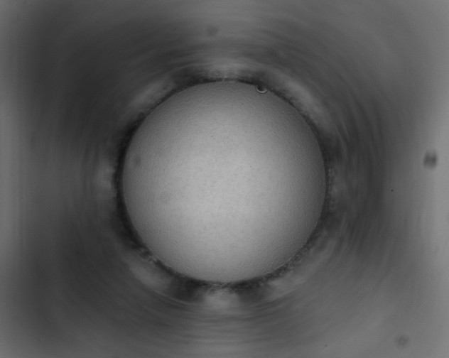 X0000103950258200809261754