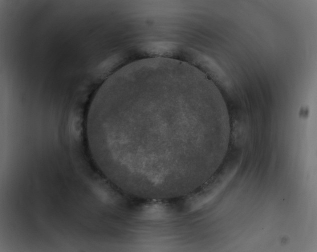 X0000103950259200809261755