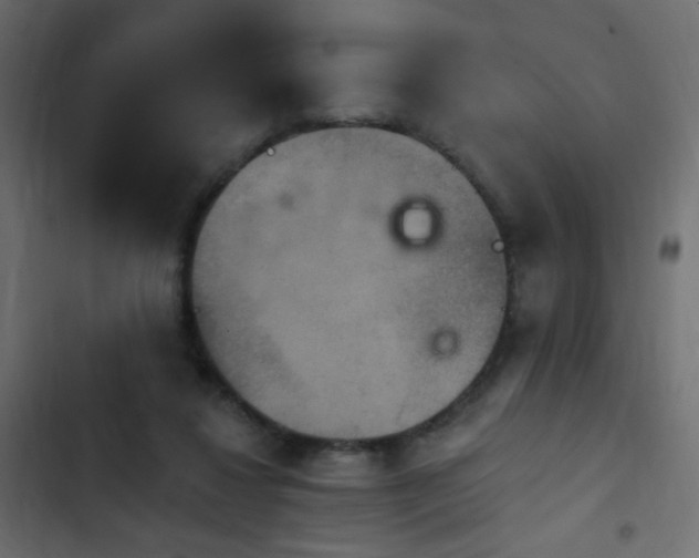 X0000103950260200809261755