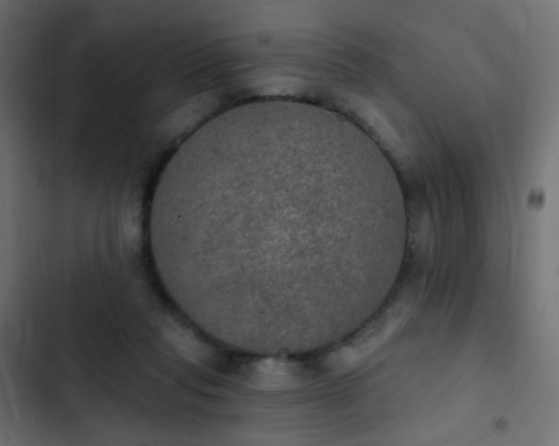 X0000103950261200809261755