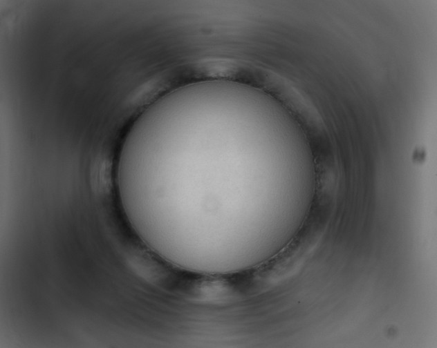 X0000103950262200809261755