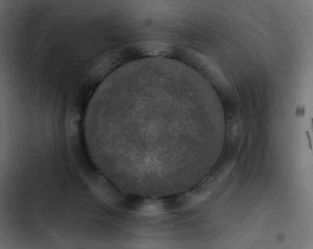 X0000103950263200809261755