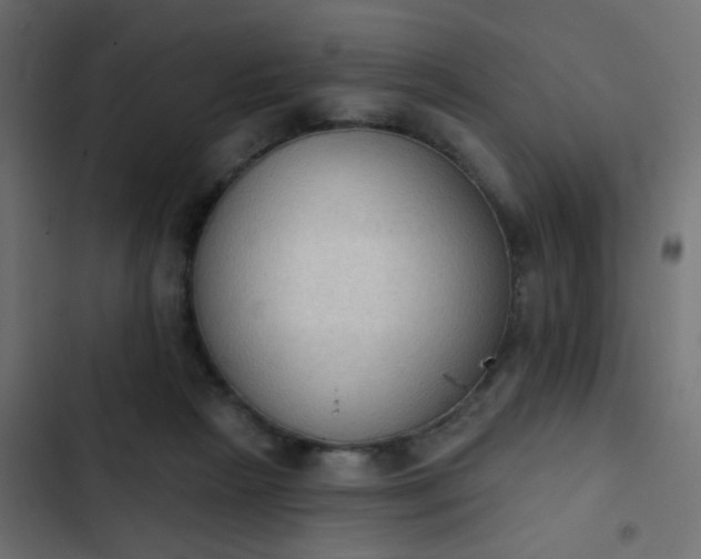 X0000103950265200809261755