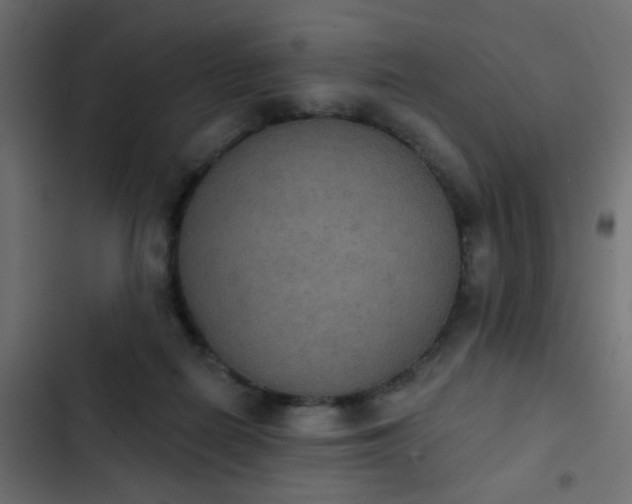 X0000103950266200809261755