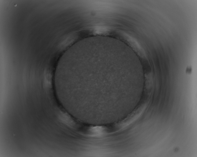 X0000103950269200809261755