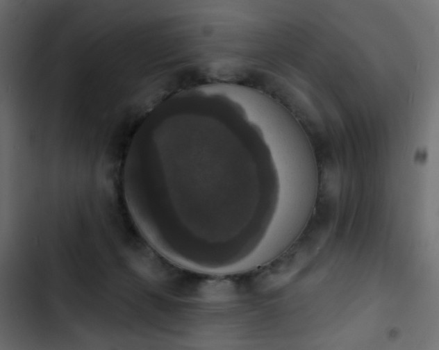 X0000103950271200809261755