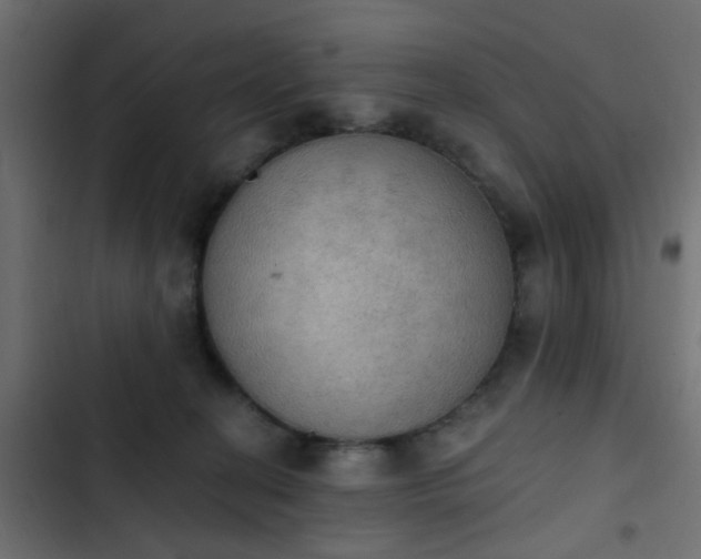 X0000103950274200809261755