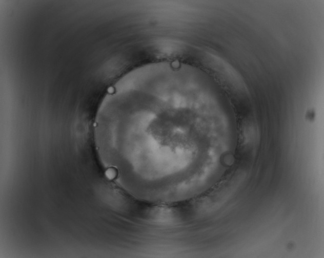 X0000103950276200809261755