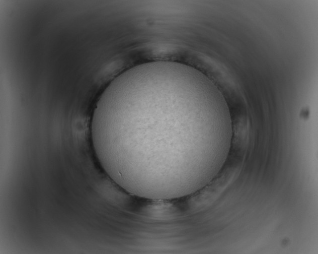 X0000103950278200809261755