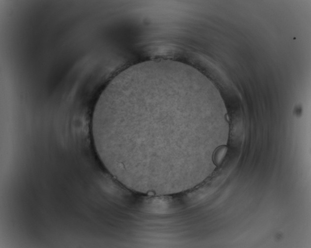 X0000103950282200809261755