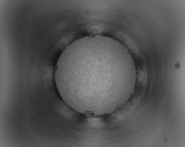 X0000103950283200809261755