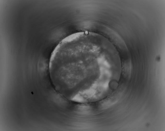 X0000103950284200809261755